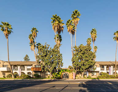 A row of palm trees in front of a building.