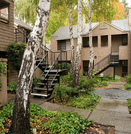 the neighborhood is full of houses with stairs and trees