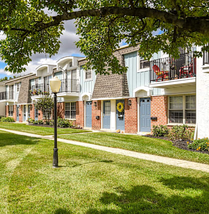 A row of houses with a tree in the foreground.