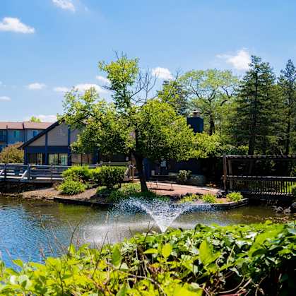 A serene park with a fountain in the middle of a pond.