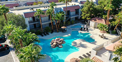 A large swimming pool surrounded by palm trees and lounge chairs.