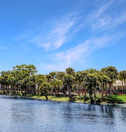 A serene lake surrounded by lush green trees under a clear blue sky.