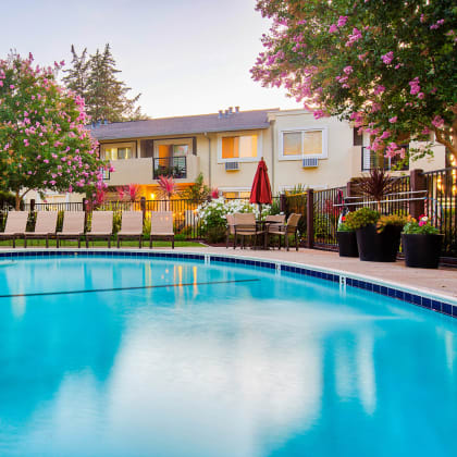 A swimming pool in a backyard with a building in the background. at Pleasanton Place, Pleasanton, CA, 94566
