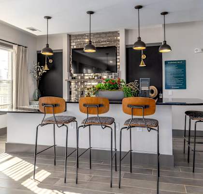 Four bar stools with orange cushions are placed in front of a bar.