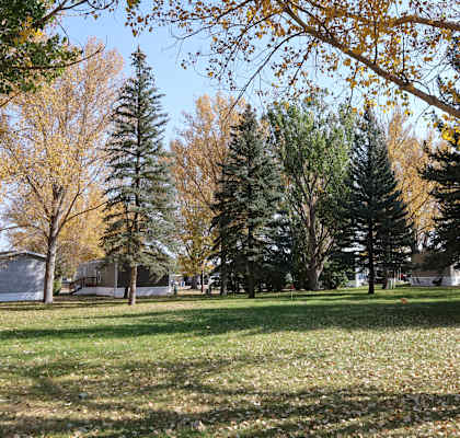a park with trees and grass in front of a house at Circle Park, Cheyenne, Wyoming