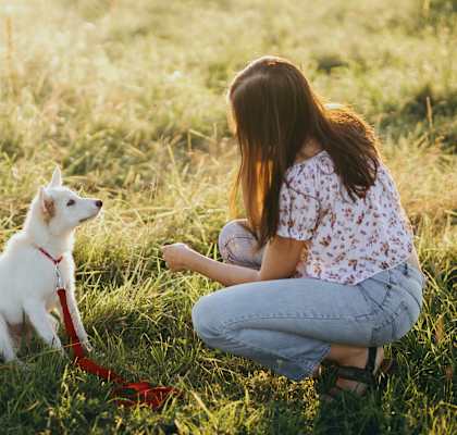 a woman and a dog sitting in the grass at Townhouse Covina Apts, Covina, CA 91724