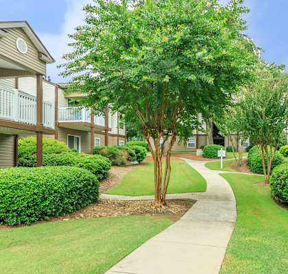 A tree in a grassy area in front of a building at 400 Winchester Apartments, Atlanta, GA