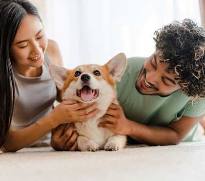 Pets Allowed at Trailside at Greenline, Cordova, 38018