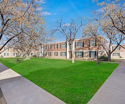 The courtyard with benches grass, trees, and shrubs at Golden Crest. 