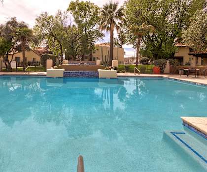 A swimming pool surrounded by palm trees and houses.