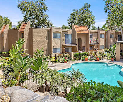 A pool surrounded by plants and a building in the background.