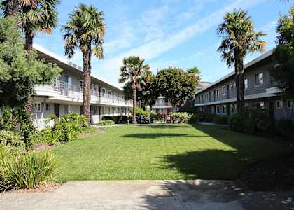 the courtyard in front of the apartments