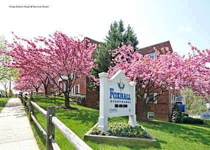 A sign for Foxhall Apartments is in front of a flowering tree.