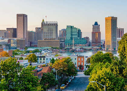 A cityscape with a mix of modern and older buildings, a river in the middle, and a tree-lined street in the foreground.