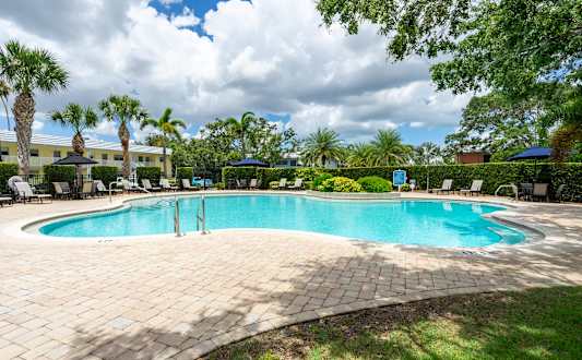 Pool with Palm Trees at Imperial Gardens Apartments, Clearwater, FL, 33764