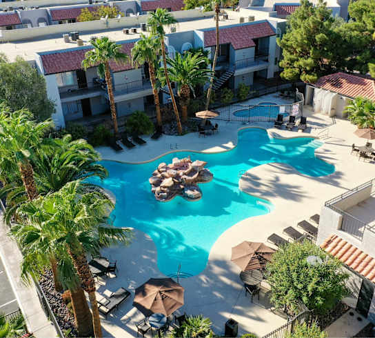 A large swimming pool surrounded by palm trees and lounge chairs.
