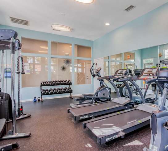 A gym with treadmills, weights, and exercise equipment.