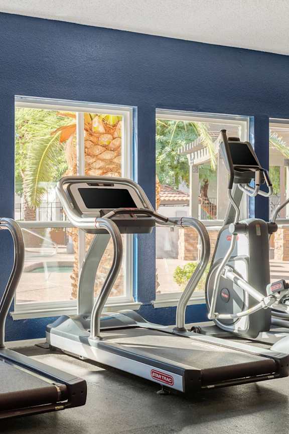 A row of treadmills and exercise bikes in a gym.