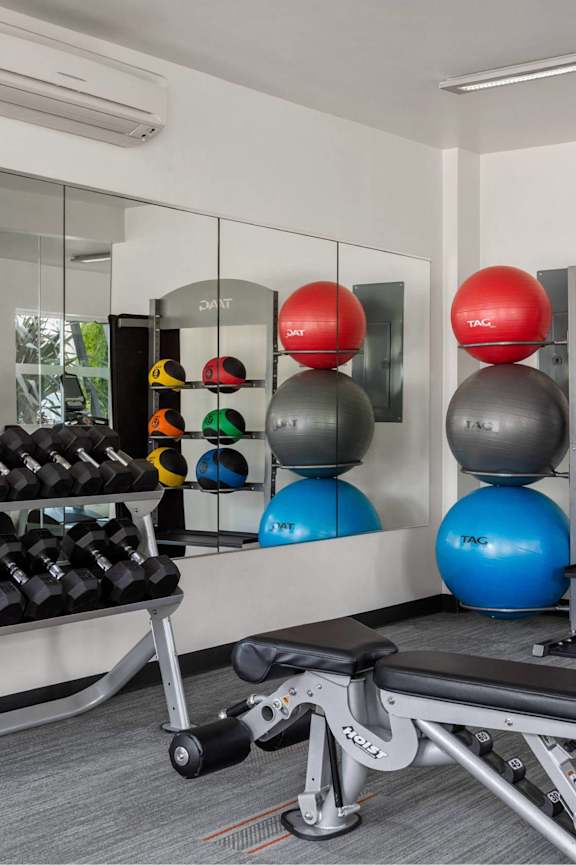 A gym with a mirror, weights, and exercise balls.