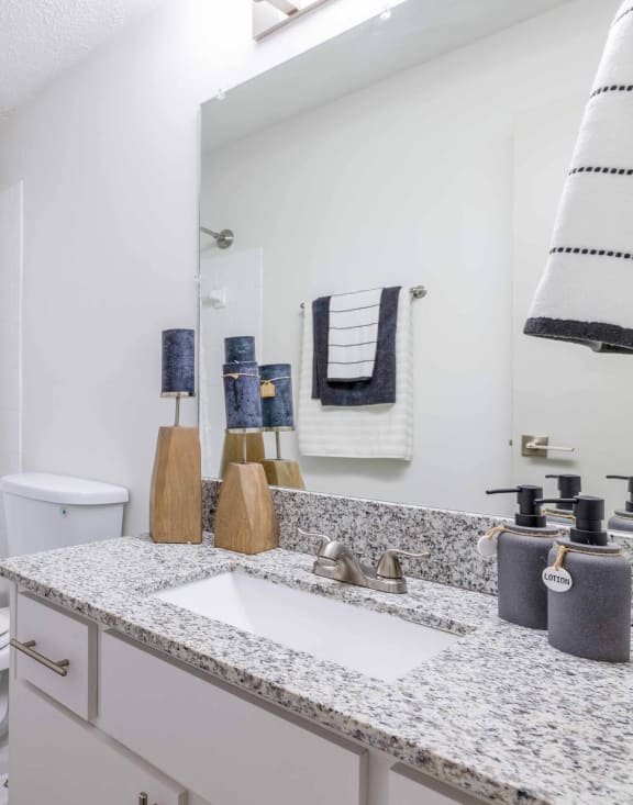 a bathroom with a shower and a sink and a toilet at The Waters at Chenal, Little Rock, Arkansas