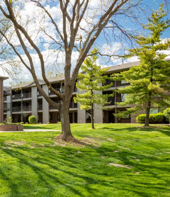 Omaha, NE Woodland Pines |Green Space