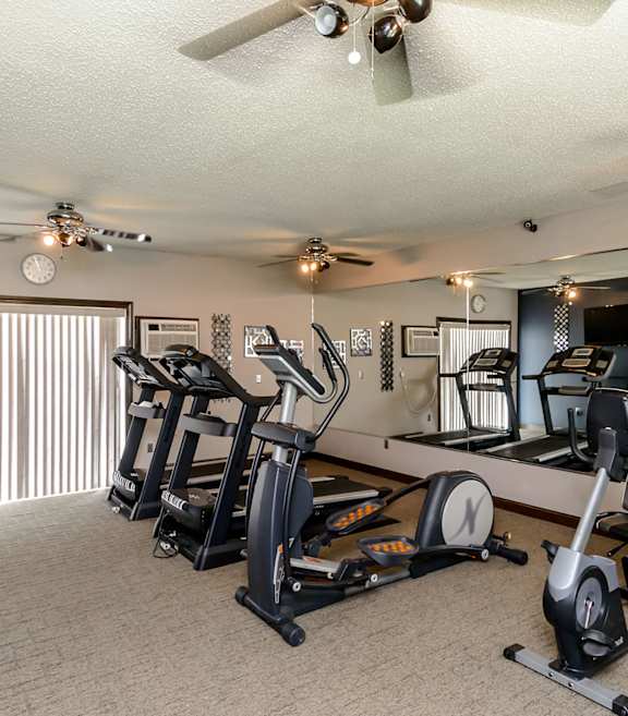 A spacious home gym with a variety of exercise equipment. at Creekstone Falls, South Dakota, 57106