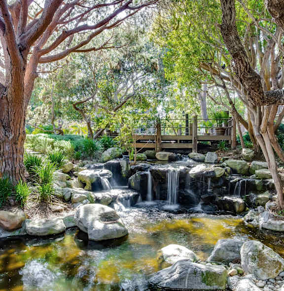 Conference room at Mission Hills Apartment Homes the backyard has a waterfall and a pond at Mariners Village, Marina del Rey, California