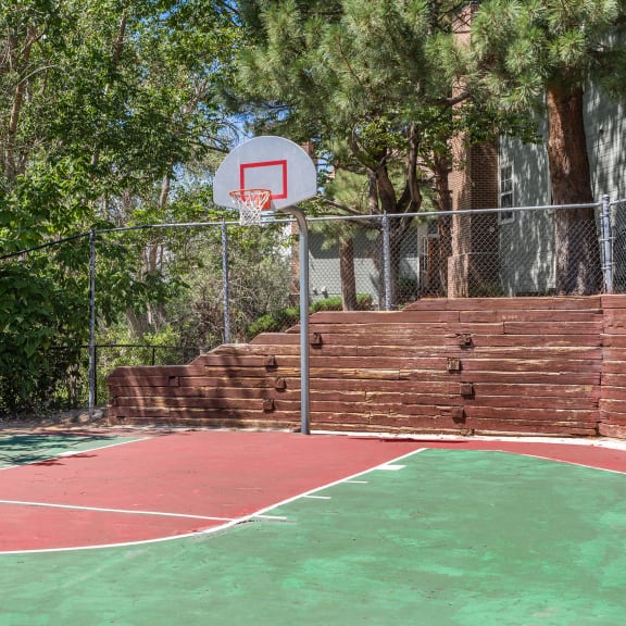 a basketball court in a backyard with trees at Arcadia Apartments, Centennial, CO