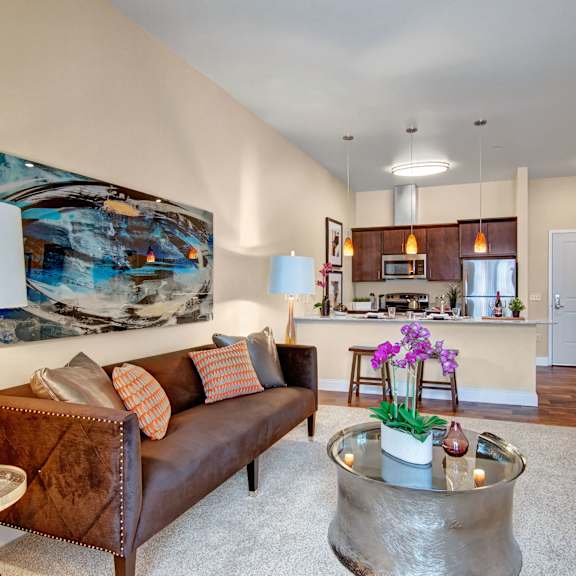 4800 Excelsior Living Room 4800 Excelsior Living Room