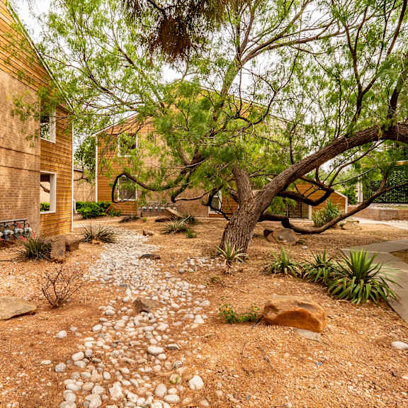 The exterior of the Trinity Place Apartments, including landscaping and a large tree. 
