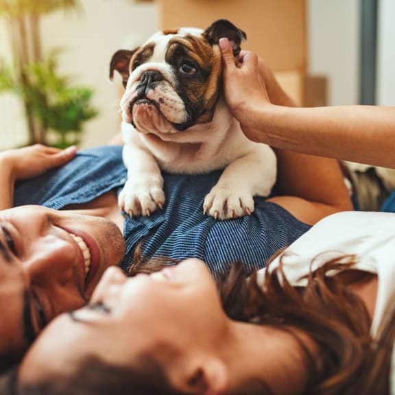 a woman laying in bed with a bulldog on her lap