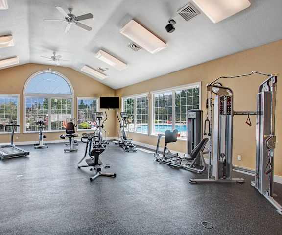 A gym with cardio machines, windows, TVs, and weights at Legends at River Oaks Apartment Homes. 