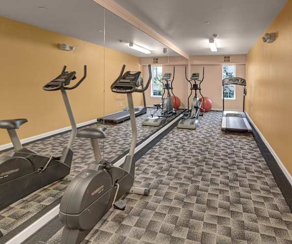 A gym with treadmills and ellipticals at the Admirals Cove. 