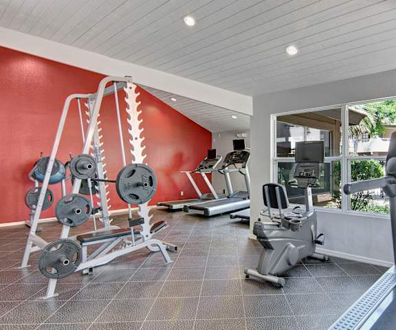 A gym with cardio machines, TVs, and weights at Desert Horizon. 