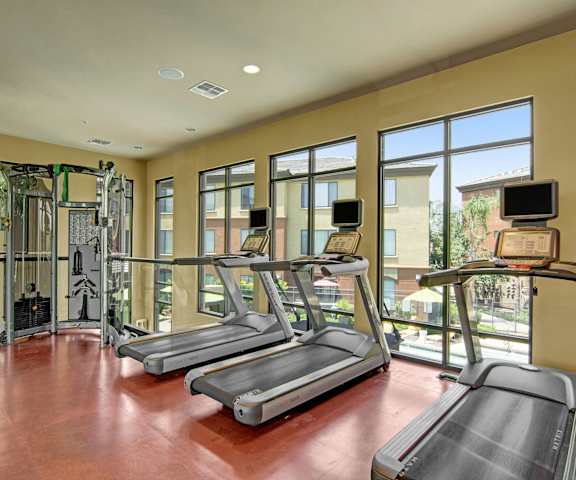A spacious gym with cardio machines, windows, TVs, and weights at Visions Apartment Homes. 