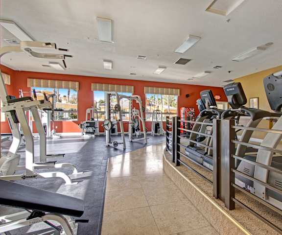 A gym with cardio machines, TVs, orange walls, windows, and weights at Fresco. 