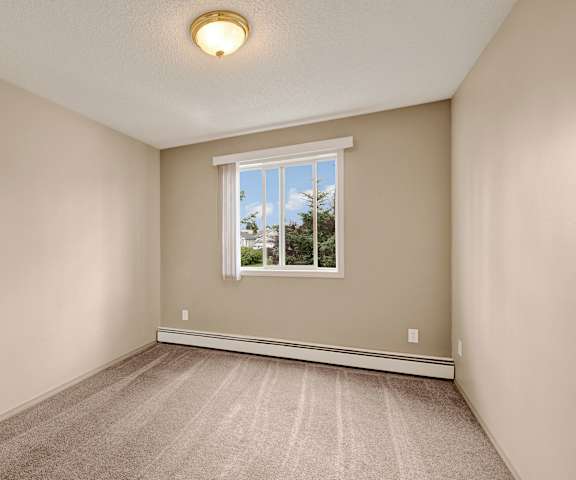 An empty carpeted bedroom with a window with a view of the trees at Manning Crossing Apartment Homes.