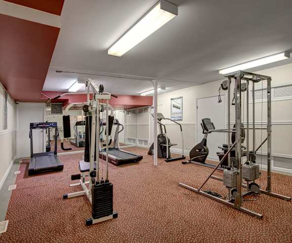 A gym with cardio machines, windows, TVs, and weights at Park Place South Apartments. 