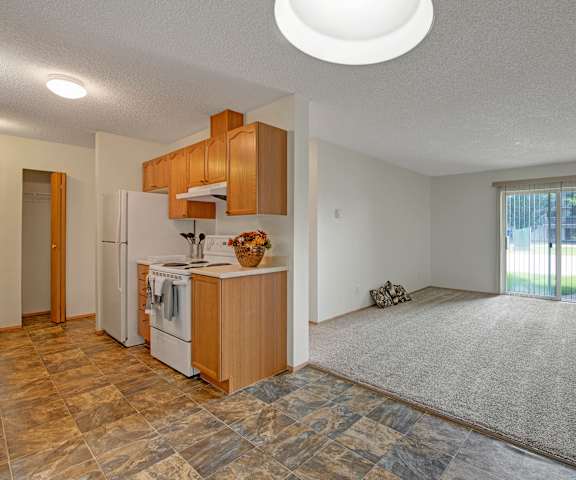 A view of the empty carpeted living room with overhead lighting and a sliding glass door to the balcony and the kitchen with white appliances and wooden large cabinets at Sol Terrace Apartment Homes. 