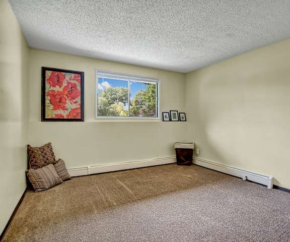 A large, empty carpeted bedroom with flowery artwork, pillows in the corner, overhead lighting and a window at Ventana Apartment Homes. 