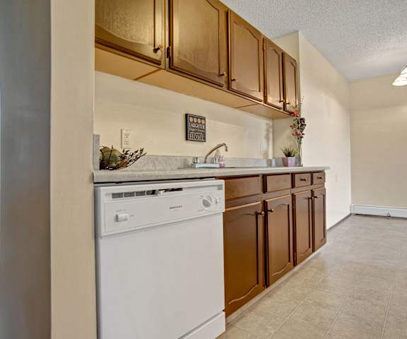 A cozy kitchen with white appliances, overhead lighting, light countertops with lots of room, a bowl of fruit, plants, overhead lighting, and large medium wooden cabinets at Ventana Apartment Homes. 