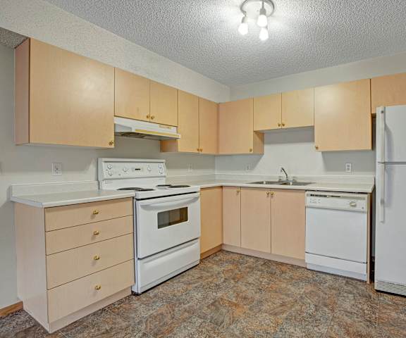 A spacious kitchen with white appliances, overhead lighting, light counter, and large wooden cabinets at Westhaven Apartment Homes. 