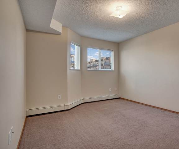 A large, empty carpeted bedroom with overhead lighting and a window at Windsor Terrace Apartment Homes. 