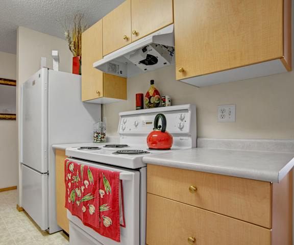 A cozy kitchen with white appliances, light counter, and spacious wooden cabinets at Windsor Terrace Apartment Homes. 