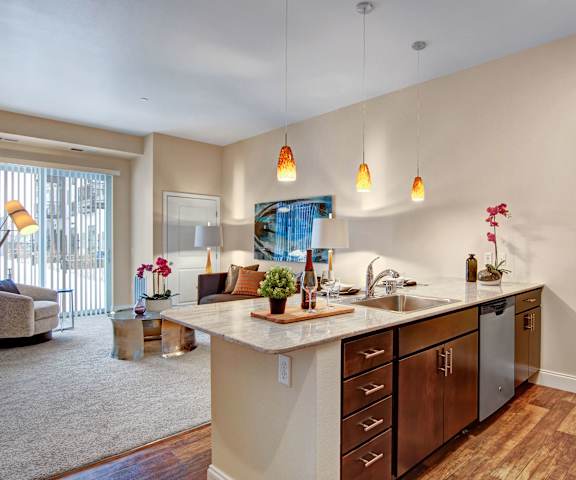 An open living room with a kitchen and a living room at 3600 Brentwood. 