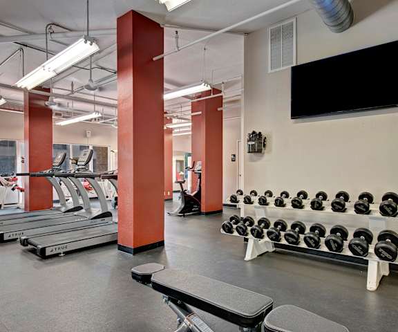 A gym with weights, treadmills, stationary bikes, and a tv on the wall at Aviare Arts District. 
