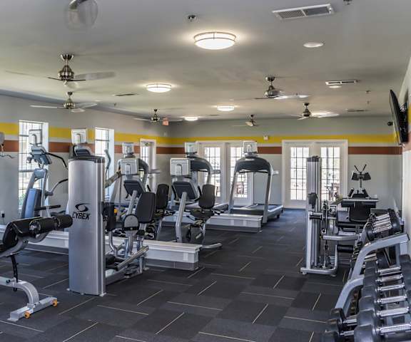 A gym with cardio machines, windows, TVs, and weights at Lincoln at Central Park Apartment Homes. 