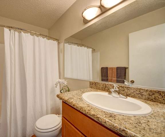 The bathroom at Avalon Springs with granite countertops, bathtub and shower, and a wide mirror. 