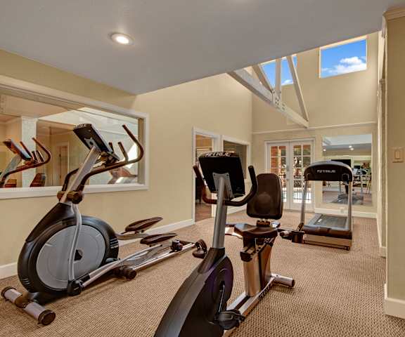 A gym with cardio machines, windows, TVs, and weights at Las Colinas Apartments. 