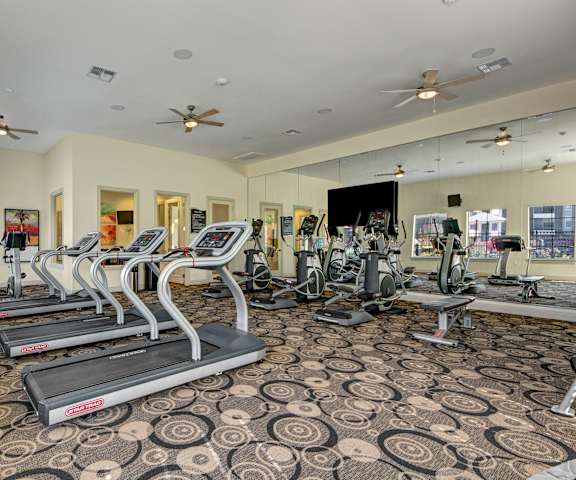 A gym with cardio machines, windows, TVs, and weights at Le Mirage Apartments. 
